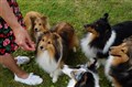 DSC07641.JPG