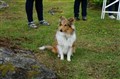 DSC07647.JPG